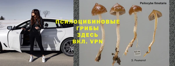 МДМА Каменногорск