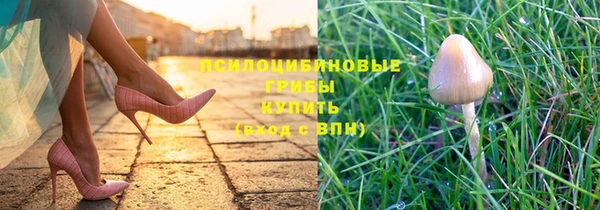 ешки Каменск-Шахтинский