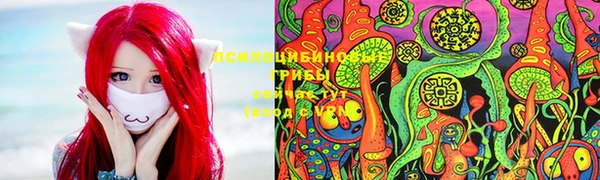 МДМА Каменногорск