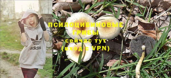 МДМА Каменногорск