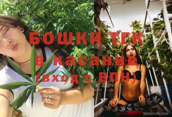 твердый Каменка