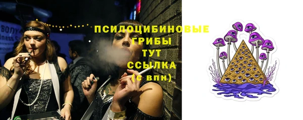 ешки Каменск-Шахтинский